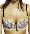 Elle Macpherson Intimates Dentelle Contour Bra